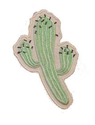 Mint Green Cactus Patch